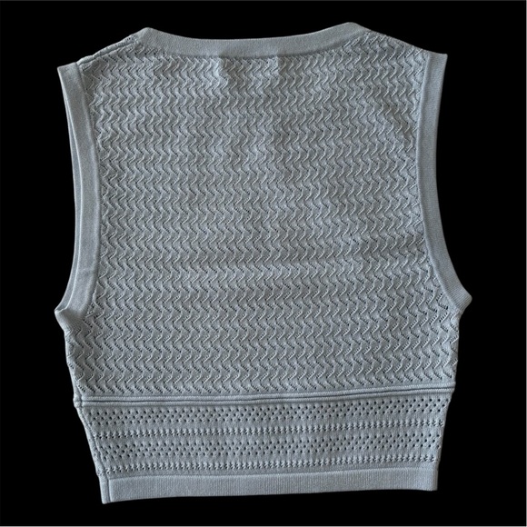 Aritzia Babaton Skirt & Top Set - Picture 8 of 12